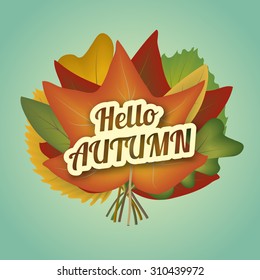 Hello autumn. Bouquet of colorful leaves. Vector illustartion EPS 10.