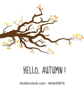 Hello, Autumn. Branch a tree in autumn, autumn tree with yellow leaves. Vector illustration.