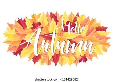 Hello Autumn brush hand lettering text for greeting card or banner on fall leaves. Modern calligraphy slogan, vector EPS 10