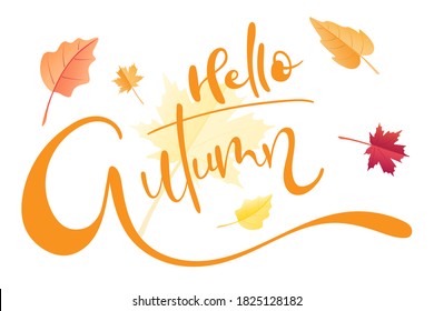 Hello Autumn brush hand lettering text isolated for greeting card or banner with fall leaves. Modern calligraphy slogan, vector EPS 10