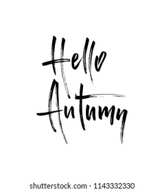 Hello Autumn brush lettering. Fall greteng cards, banners, autumn season phrase for posters design. Handwritten modern brush pen calligraphy isolated. Vector illustration stock vector.