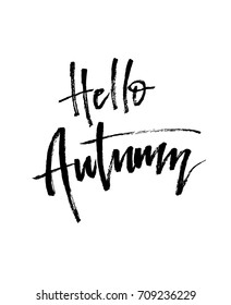 Hello Autumn brush lettering. Fall greteng cards, banners, autumn season phrase for posters design. Handwritten modern brush pen calligraphy isolated. Vector illustration stock vector.
