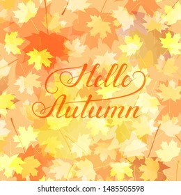 hello autumn calligraphic text on background with red orange yellow maple leaves. vector illustration. design template for print, greeting card, banner, invitation, poster, vignette, flyer, sign