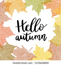 Hello Autumn calligraphy quote on white background decorate with maple leaves for shopping sale or promo poster, card, web banner.Vector illustration template with lettering text.