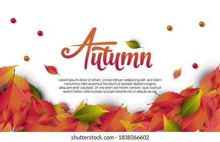 hello autumn with calligraphy text