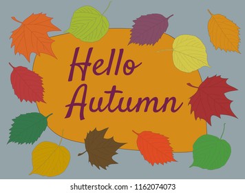 Hello Autumn calligraphy text on orange and gray background with colorful various autumn leaves,  linden alder and maple leaf illustration seasonal vector background