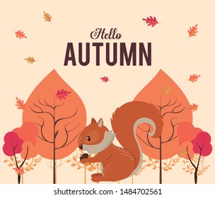 Hello autumn card with cute animal and leaves cartoons, season poster. vector illustration graphic design.
