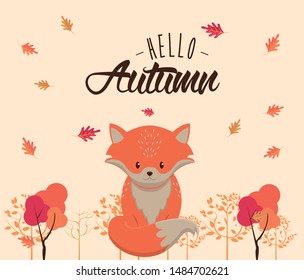 Hello autumn card with cute animal and leaves cartoons, season poster. vector illustration graphic design.