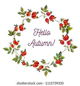 Hello autumn card with hips frame, sketchy design, vector graphic illustration