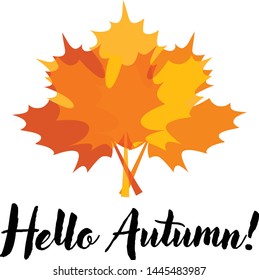 Hello Autumn Card with Maple Leaves and Lettering. Vector Illustration. Flat Style.  Autumn Design Collection