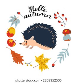 Hello autumn. Cartoon hedgehog, hand drawing lettering. Card with leaves, autumn elements and cute forest animal on white background.Design for cards, print, poster.