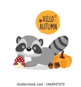 Hello Autumn and Cartoon racoon animal.