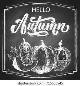Hello Autumn chalk hand lettering, custom calligraphy with maple leaves and pumpkins harvest on black chalkboard background. Vector vintage illustration.