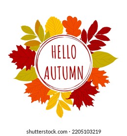 Hello autumn circle frame. Hand drawn different colored fall leaves border. Orange yellow red green maple oak leaves. Vector illustration.