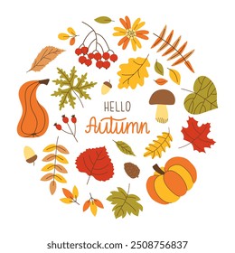 Hello autumn circle frame with leaves, mushroom, acorn, pumpkin and berries. Hand drawn Fall elements collected with circle with lettering Hello autumn. Simple illustration for posters postcards.