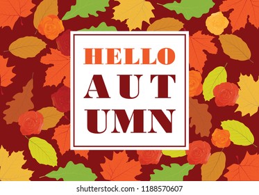 Hello Autumn, colorful leafs vector background 