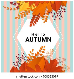 Hello autumn with colorful leaves and fruits background , vector , illustration