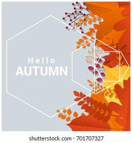 Hello autumn with colorful leaves and fruits background , vector , illustration