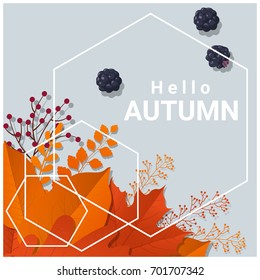 Hello autumn with colorful leaves and fruits background , vector , illustration