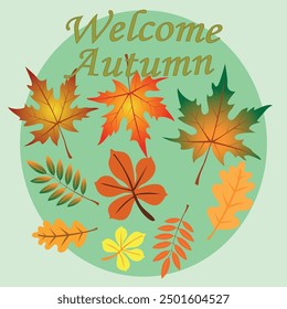 Hello autumn, colorful leaves vector image.