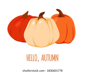 Hello, Autumn. Colorful postcard invitation with gourds. Greeting card with autumn orange and red drawn pumpkins.Template banner or poster for Thanksgiving or Halloween celebration Vector illustration
