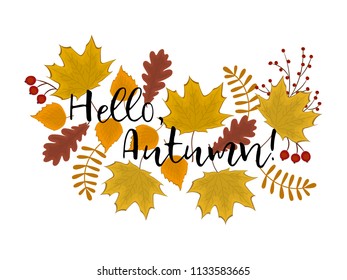 Hello Autumn concept. Autumn background. There are leaves of maple, oak, birch and other trees in the picture. There is also the text "Hello, Autumn!" here. Vector illustration