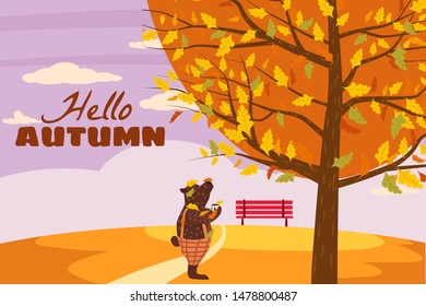 Hello Autumn Cute bear in pants with a cup of hot coffee. It stands under a tree and looks at the autumn tree, as the leaves fall. Illustration vector isolated banner postcard poster