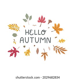 Hello autumn - cute doodle words decorated with fallen maple and oak leaves. Oval composition perfect for card, sticker, cup, tote bag, print. Vector isolated on white background.
