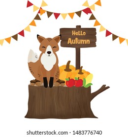 Hello Autumn cute fox on the wood log.
