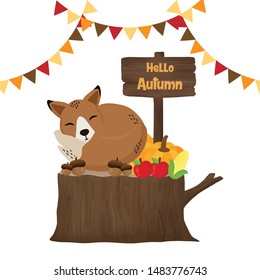 Hello Autumn cute fox on the wood log.
