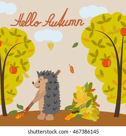 Hello autumn. Cute hedgehog cleans up the leaves in the forest. Vector illustration