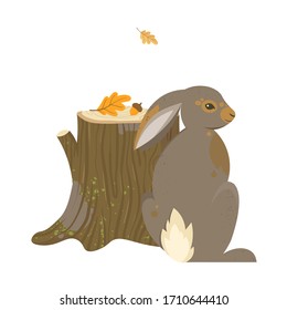 Hello, Autumn. Cute vector objects: rabbit, stump and leaves. Illustrations for poster, background or card