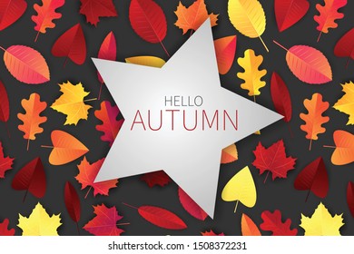 Hello autumn design concept with red and orange tree leaves on grey background and typography text on a star shape. Vector illustration.
