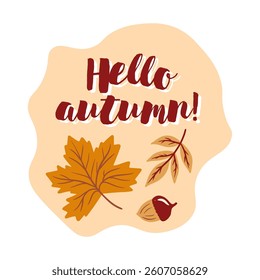 Hello autumn design with leaves and acorn for seasonal greeting. Vector illustration