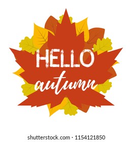 Hello autumn design with leaves. Vector template