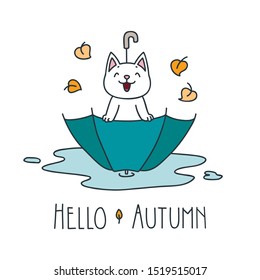 Hello autumn. Doodle illustration of happy white cat sitting in the umbrella isolated on white background. Vector 8 EPS
