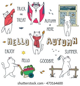 Hello autumn. Doodle vector illustrations of funny white cat enjoying the autumn