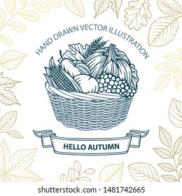 Hello autumn. Fall harvest hand drawn vector illustration. Pumpkin, corn, apple, pear, grape and wheat in basket. Part of set.