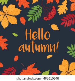  Hello autumn. Fall of the leaves. Leaves are drawn on the black chalkboard. Sketch, doodles, design elements. Vector illustration.
