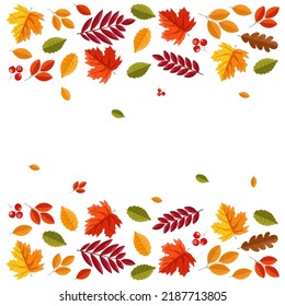 Hello autumn, fall leaves flat, colorful leaves isolated set, autumn elements, fall banner, vector illustration