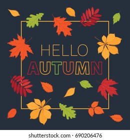 Hello autumn. Fall of the leaves. Sketch, doodles, design elements.  Vector illustration.