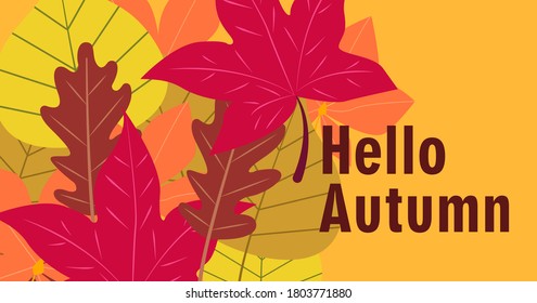 Hello Autumn. Fall season vector background with fallen leaves. Editable design template