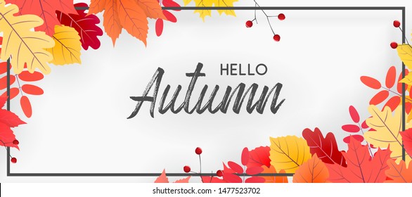 Hello autumn falling leaves. Autumnal foliage fall and poplar leaves. Autumn design. Templates for placards, banners, flyers, presentations, reports.