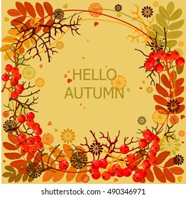 Hello, Autumn! Frame with rowan berries, leaves and twigs of rowan leaf pattern. Vector illustration. Autumn set