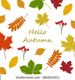 Hello Autumn frame in various fall leaves and berries