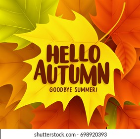 Hello autumn greetings vector design with yellow maple leaf and a background of colorful fall season leaves. Vector illustration.
