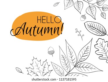Hello autumn! Hand drawn different colored autumn leaves. Sketch, design elements. Vector illustration.