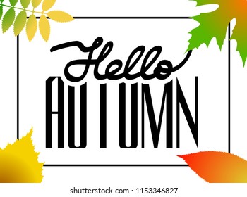 Hello autumn! Hand drawn different colored autumn leaves. Sketch, design elements. Gift card layout. Vector illustration EPS
