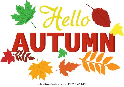 Hello autumn! Hand drawn different colored autumn leaves. Sketch, design elements. Vector illustration.