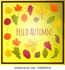 Hello autumn. Hand drawn different colored autumn leaves. Sketch, design elements. Vector illustration.